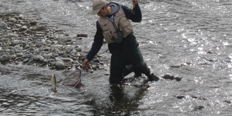 Aturat un nou reglament de pesca, que es veia com una "privatització" del riu