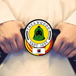 #30 - Entrevistes de La Rambla del 8/2/2022 — Entrevista a la Mireia Duran, propietària i professora del Club de Taekwondo de Sant Just - episode art