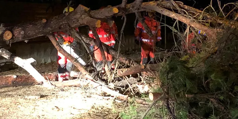 Un esclafit provoca danys i fa caure arbres a Poblenou en una nit de tempestes violentes