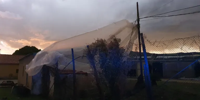 Una forta ràfega de vent s’ha emportat el sostre d’un hivernacle a la zona del Mercat de la Flor