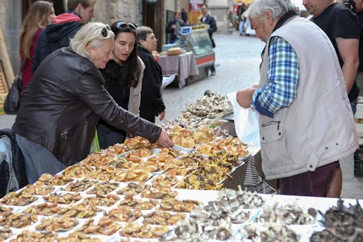 Solsonès Fires suspèn la Fira del Bolet i la substitueix per actuacions per a la promoció del producte local