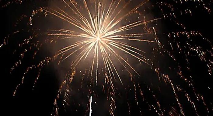 Focs Artificials 2018 (Foto: Xavi SalbanyÃ )