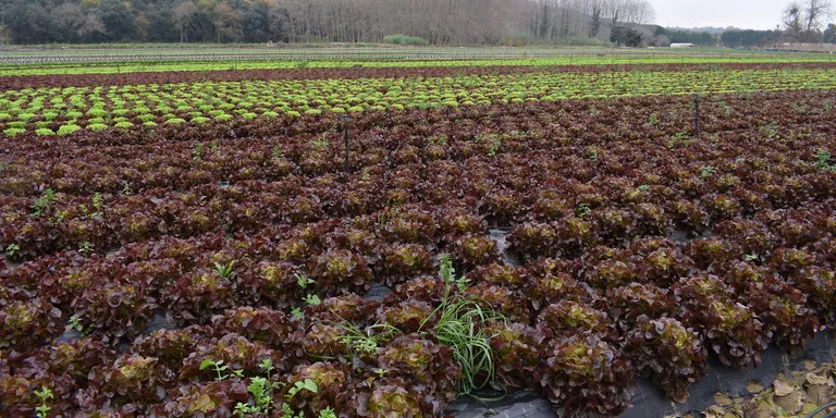 El Vallès Oriental ha rebut 154.644€ del Pla estratègic d’alimentació de Catalunya