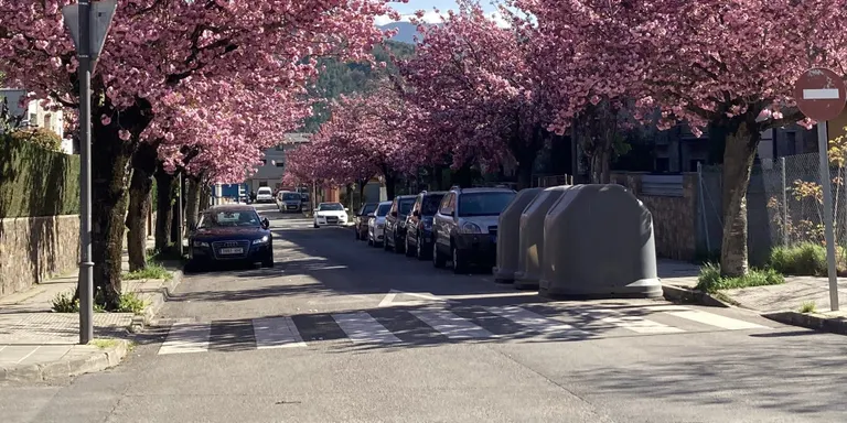 La Seu d'Urgell renova el segell de Viles Florides amb la qualificació de tres flors