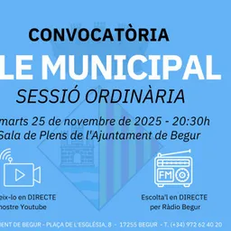 27 de novembre 2025: Ple municipal ordinari de l’Ajuntament de Begur - episode art