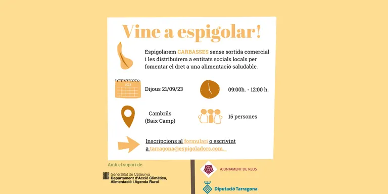 Dijous es farà una nova espigolada de carbasses a Cambrils