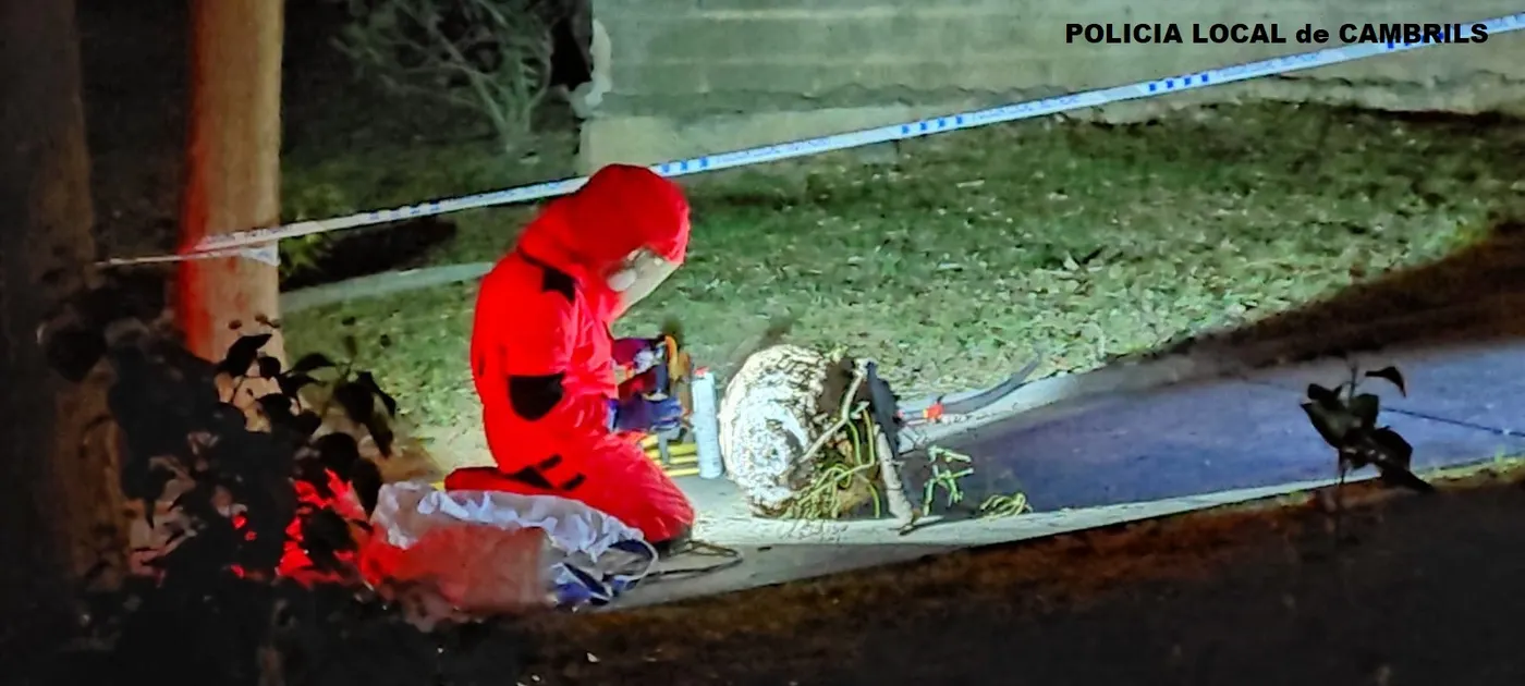 Destrueixen un niu de vespes velutines molt perjudicials per les abelles al barri Nou Cambrils