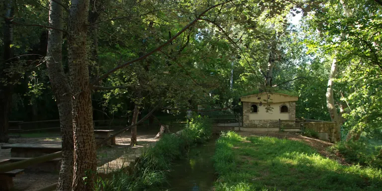 Renaturalitzaran l’Albereda de Santes Creus