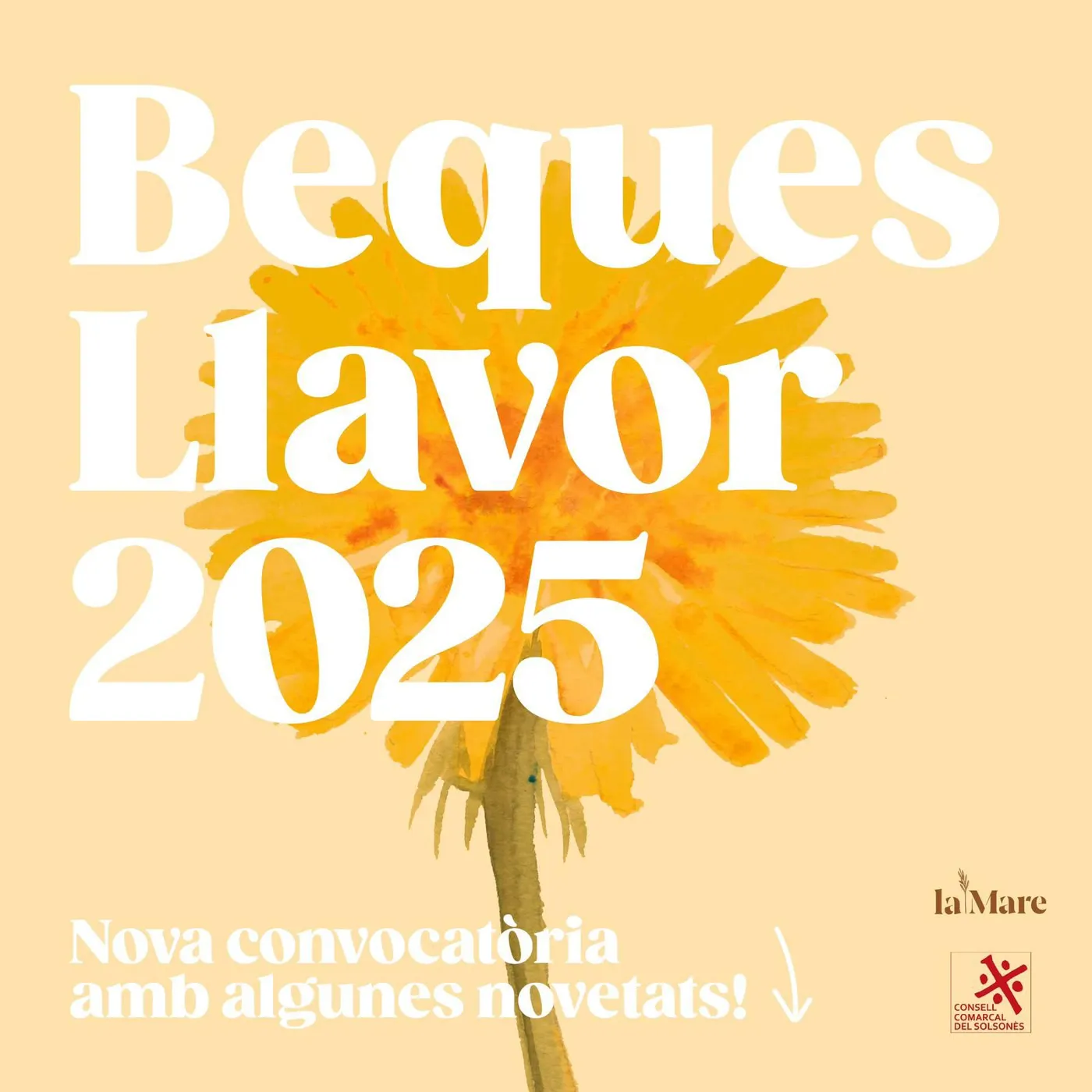 Les Beques Llavor 2025 incrementen la dotació fins a 2.000 euros