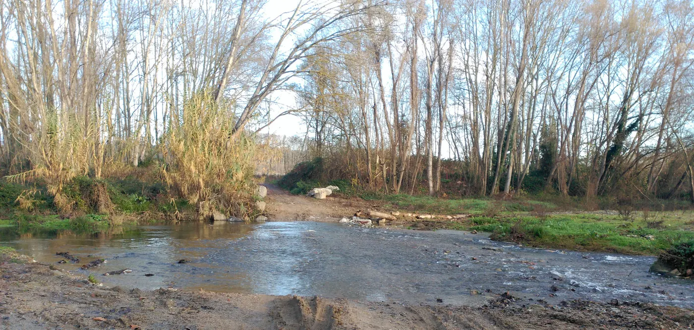 L'ACA anuncia millores en diversos trams de la llera de La Tordera