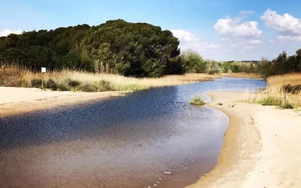 Foto: Associació Mediambiental la Sínia