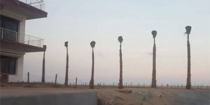 El biòleg Pere Alzina afirma que les obres entorn del Portinyol tindran conseqüències d’aquí uns anys
