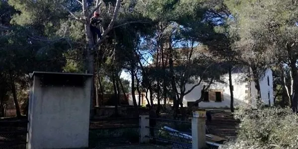 L’Ajuntament d’Altafulla neteja l’entorn de la zona d’esbarjo de Sant Antoni