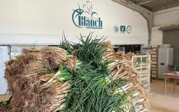 Foto: Horta Blanch