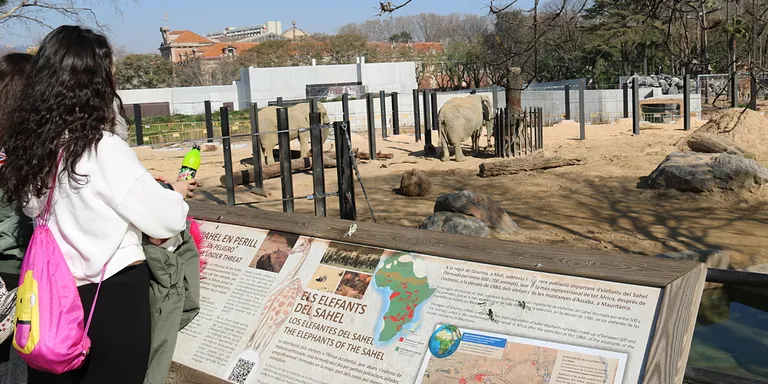 La Generalitat obre un expedient sancionador contra el Zoo de Barcelona per la mort d'aus durant el temporal Glòria