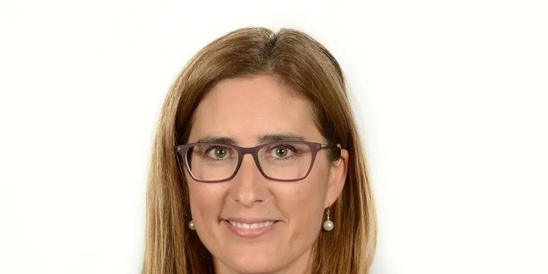 Maria Mas acusa els partits de l'oposició de buscar el titular en el tema del POUM