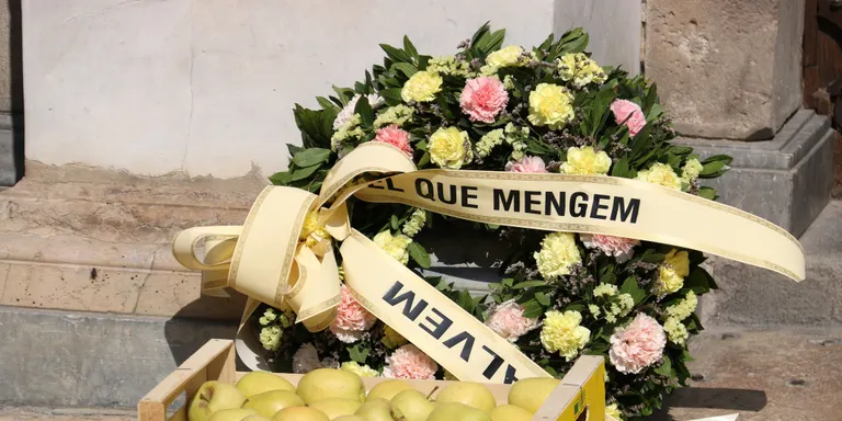 Els pagesos reclamen ajuts immediats pel tancament dels canals i una "solució de país" per evitar "una mort anunciada"