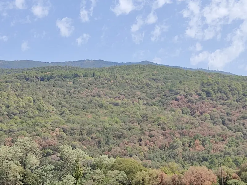 Entra en vigor la prohibició de fer foc al bosc