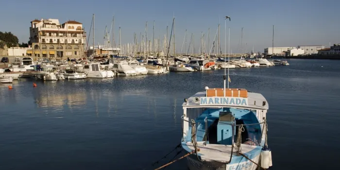 L’itinerari mediambiental pel litoral arenyenc pretén donar a conèixer la fauna marina local