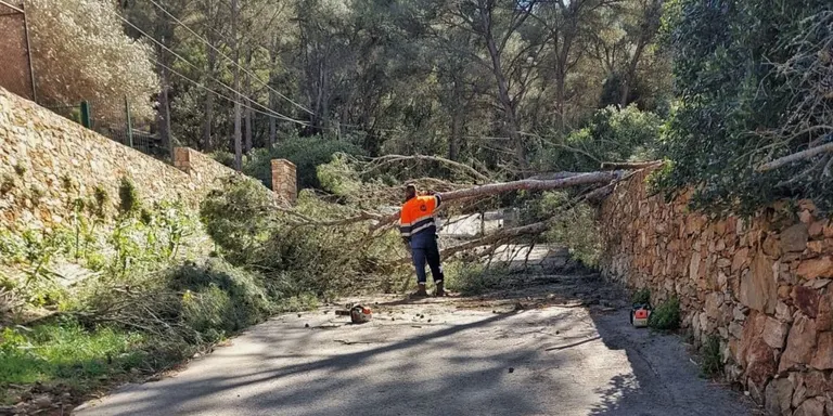 La brigada de Begur intensifica les actuacions per reparar danys de pluges i vent