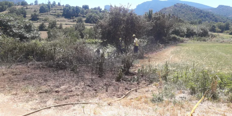Extingit un foc de vegetació a Coll de Nargó