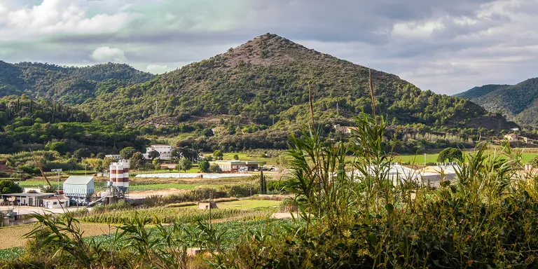 Una ruta per conèixer el Turó de Montpalau et descobrirà plantes úniques i un paisatge molt interessant