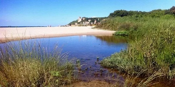 L’Associació Mediambiental La Sínia d’Altafulla impulsa una campanya de captació de socis
