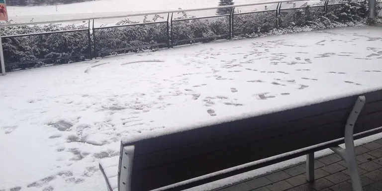 La neu torna a cobrir la Seu i el Pirineu