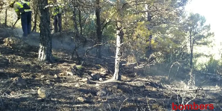 Un incendi a Peramola crema 1.300 metres quadrats de sotabosc