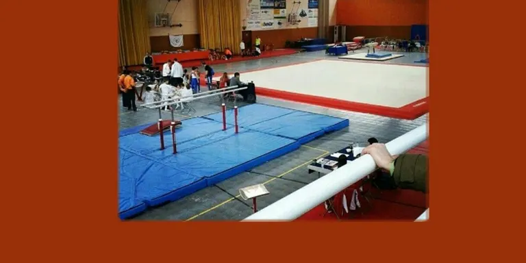 Nova festa de gimnàstica esportiva a la nostra ciutat