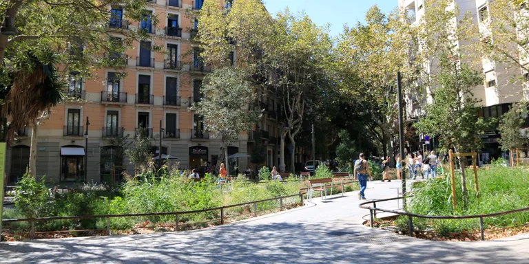 Barcelona Oberta descarta demanar la reversió de l'eix verd de Consell de Cent i confia en el diàleg amb Collboni