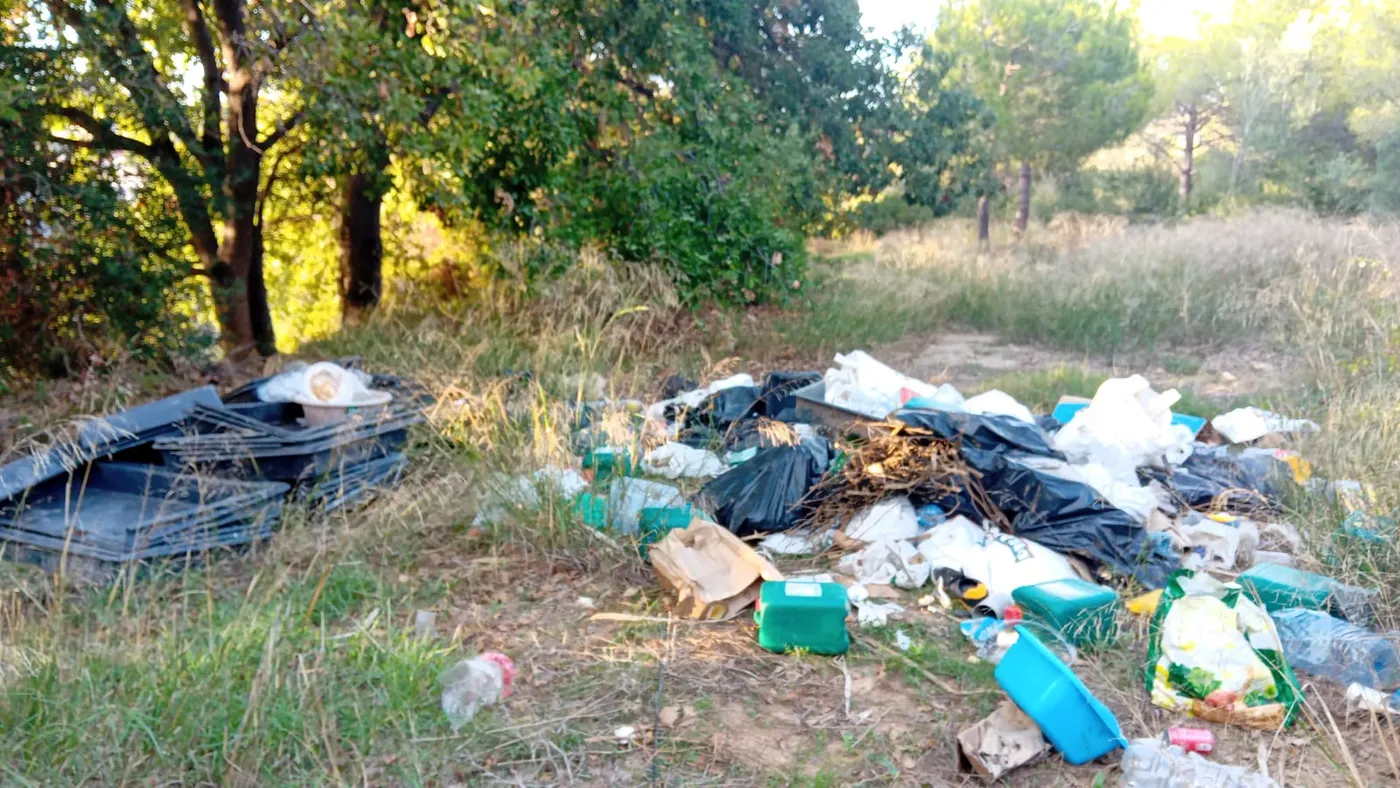 Arba Litoral denuncia un abocament a la roureda centenària de les Bassetes pendent de resoldre des del setembre