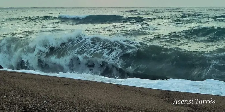 Dies de sol, vent de garbí, mala mar i poca pluja