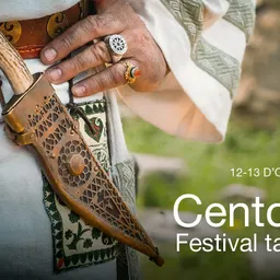 1r Festival Tardoromà de Centcelles - episode art