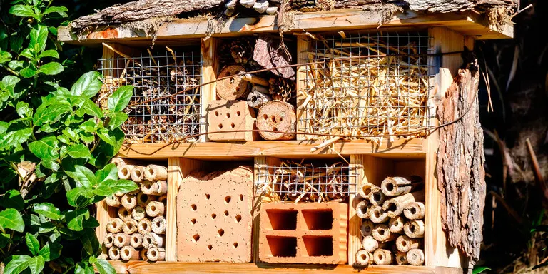 Arenys de Mar commemora la Setmana de la Natura amb activitats repartides durant tota una quinzena