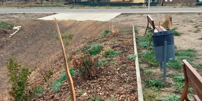 Dos menors destrossen l'arbrat del nou parc infantil del sector de la Cabana del Silo