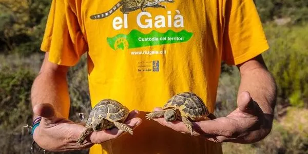 Aquest diumenge, visita guiada a la desembocadura del Gaià i a l’Hort de la Sínia