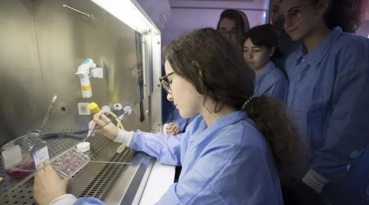 Una alumna de l'Institut Francesc Ribalta, seleccionada per participar al "Bojos per la ciència 2021"