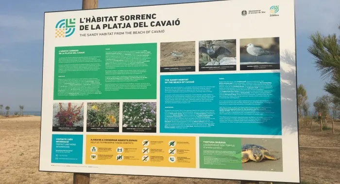 Foto: (Ajuntament d'Arenys de Mar)