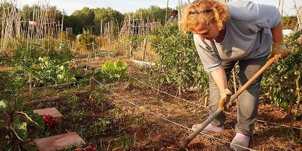 Es posposa fins divendres 27 l'inici dels tallers de l'Hort Social i Terapèutic