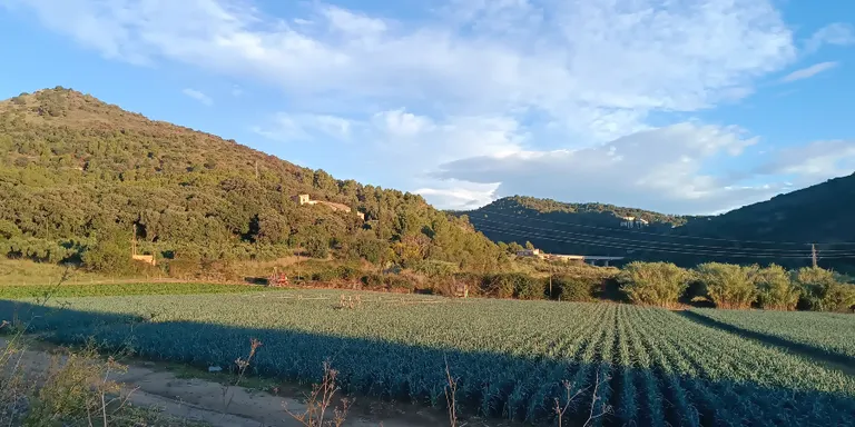 Cops de vent de 95km/h a la Riera de Pineda