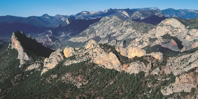 Alinyà acollirà la II Trobada forestal de l'Alt Urgell