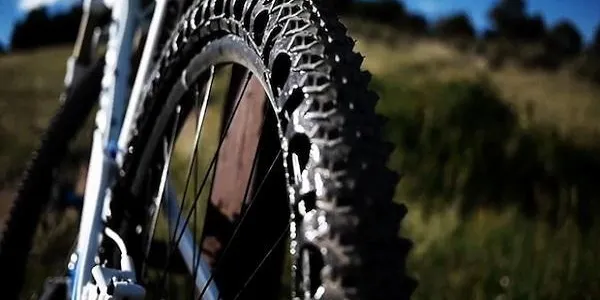 La Junta dels Socis de la Penya Ciclista d’Altafulla no pateix cap canvi