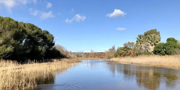 L’Associació Mediambiental La Sínia d’Altafulla commemora el Dia Mundial de les Zones Humides aquest dissabte al Vinyet