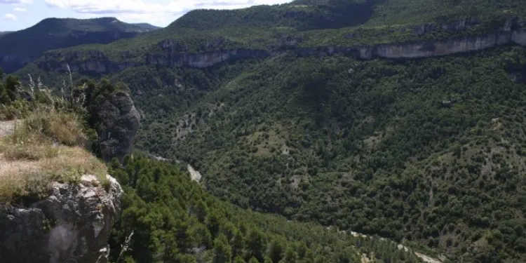 El Veinti i la necessitat de guanyar a Barberà