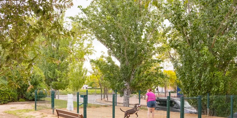 S’inicien les obres d’ampliació i creació de nous pipi-cans a Constantí