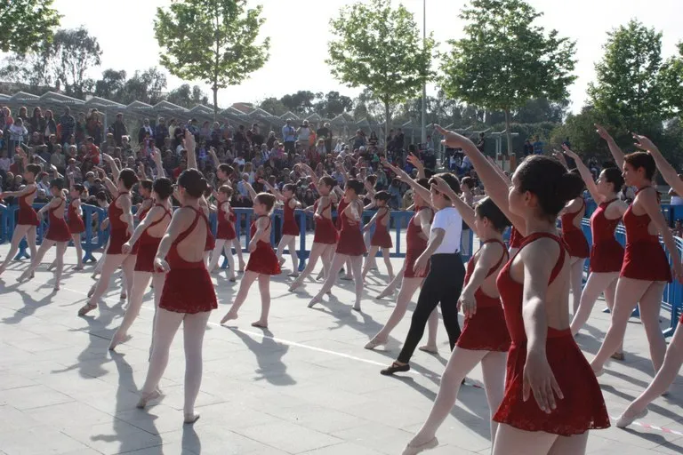 El Parc del Pinaret acollirà aquest divendres un acte per commemorar el Dia Internacional de la Dansa
