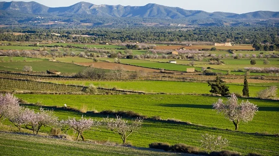Destacats de la setmana