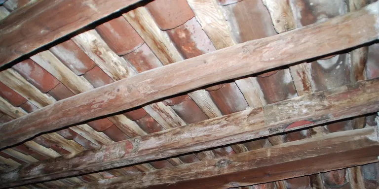 Continuen els actes del setè centenari del Convent del Carme