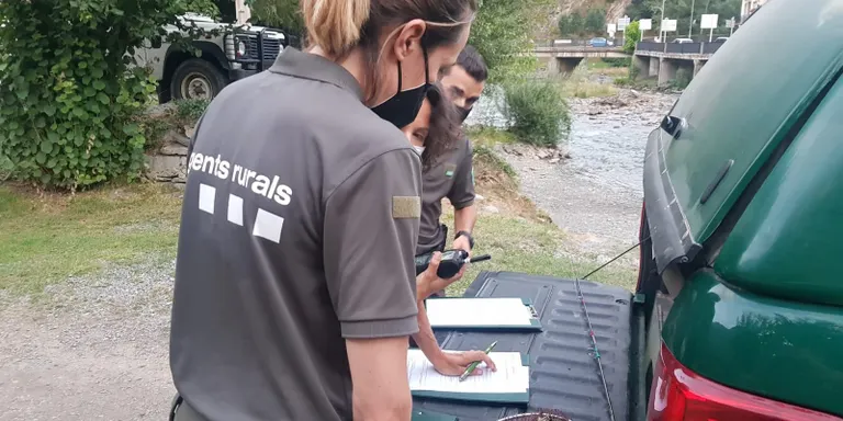 Ferit un conductor al xocar amb el vehicle contra una vaca a l'N-260 al Pont de Bar